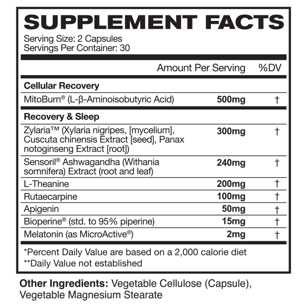 Hercin Sleep + Recover | Optimize Nighttime Recovery