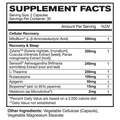 Hercin Sleep + Recover | Optimize Nighttime Recovery